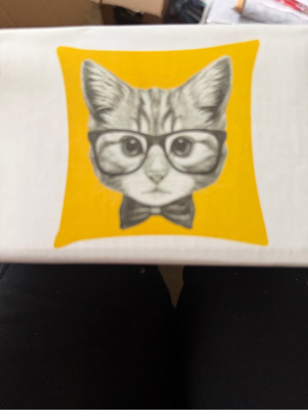 Premium Cat Throw Pillow Covers - Set of 4 - Yellow Accent w/Cat